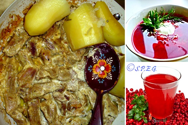 Traditional Russian Food — What To Try In Russia — Travel Cultura